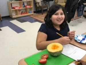 Student dissecting and studying cantaloupe and tomato 